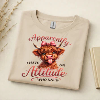 Gildan 5000 T-shirts